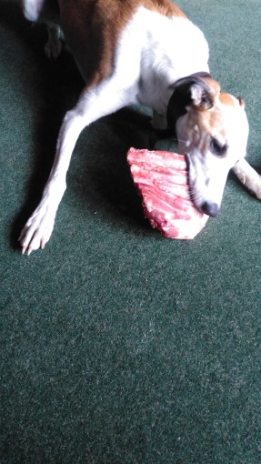 2017-07-10 13.51.57.jpg